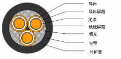 3*2.5，3*3，3*4，3*6，3*10，3*16，3*25屏蔽電纜結(jié)構(gòu)圖