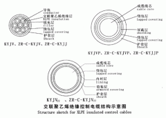 KYJV，KYJVP，KYJV22額定電壓0.6/1kV交聯(lián)聚乙烯絕緣控制電纜